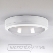 Solight LED kültéri világítás Siena, fehér, 20W, 1500lm, 4000K, IP54, 23cm Előnézet 