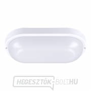 Solight LED kültéri világítás ovális, 20W, 1500lm, 4000K, IP54, 26cm Előnézet 