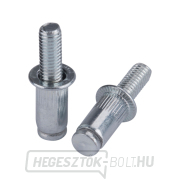 Szegecs acél csavarkészlet 50 db-os, M5x12mm Előnézet 