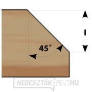 IGM M109 Szögvágó csapággyal - 45° D32,2x11,34 L62 S=8 HW Előnézet 