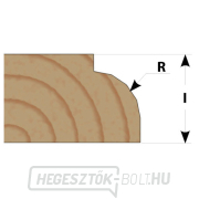 IGM M138 homorú lekerekítő maró - R2 D17,34x9,5 L61 S=6 HW Előnézet 