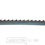 IGM Carbon FORCE HOOK Fűrészszalag 2946 mm - 19 x 0,8 mm 2Tpi Előnézet 