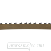 IGM keményfém FŰRÉSZÍTÉS Fűrészszalag 2946 mm - 20 x 0,6 mm 1,5-2Tpi Előnézet 