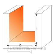 CMT C711 Csigavágó - D2x4 L45 S=6 HW Előnézet 