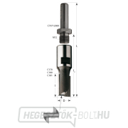 CMT Csigavágó M12-es menettel - D18x25 L60 M=12x1 HW Előnézet 