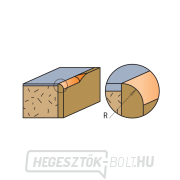 CMT C938 Xtreme gyémánt körvágó - R2 D16,7x7x8 S=8, Delrin Előnézet 