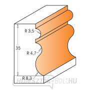 CMT C955.901 Többprofilú vágógép csapágyazással - D23,8x35 S=12 HW Előnézet 